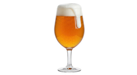 Isolated Glass of Beer with Foam