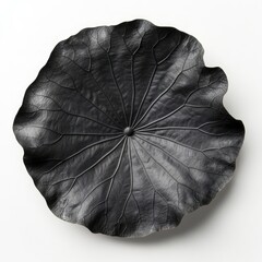 A black, circular lotus leaf, detailed veins