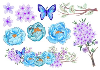 Luxury floral oriental style isolated element  design butterfly with peony flower, cherry blossom garden