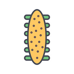 Sea Cucumber Vector Icon
