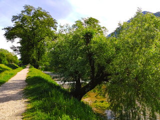 river landscape and blue sky in summer in a forest