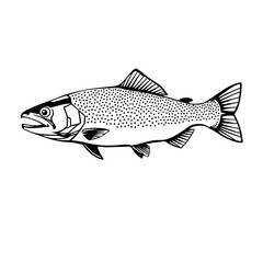 Sleek Fish Line Drawing