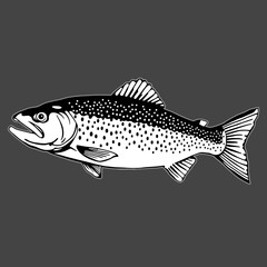 Fish with Sparkle Illustration