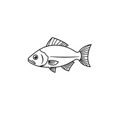 Realistic Fish Vector