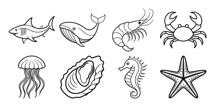 set of aquatic animals,whale,prawn,oyster,see horse,shark,star fish,jelly fish lineart design,