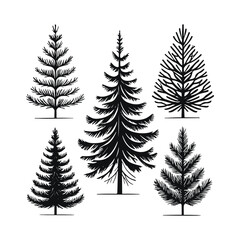 Obraz premium Collection of Hand-Drawn Evergreen Trees Black and White Silhouettes