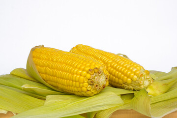 Two fresh sweet corns isolated on white background.