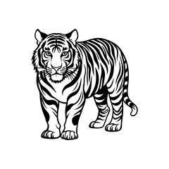 tiger vector illustration