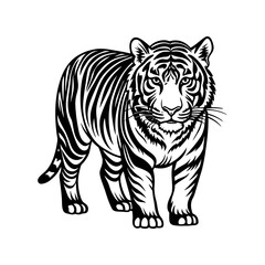 tiger vector illustration