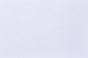 Blank white drawing paper.