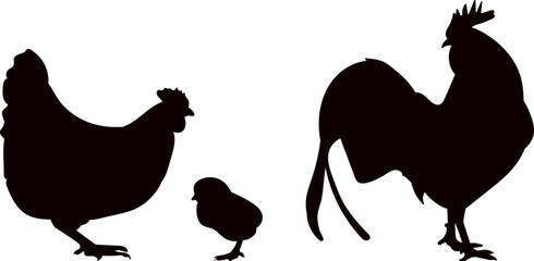 silhouette chicken, rooster, chick, vector