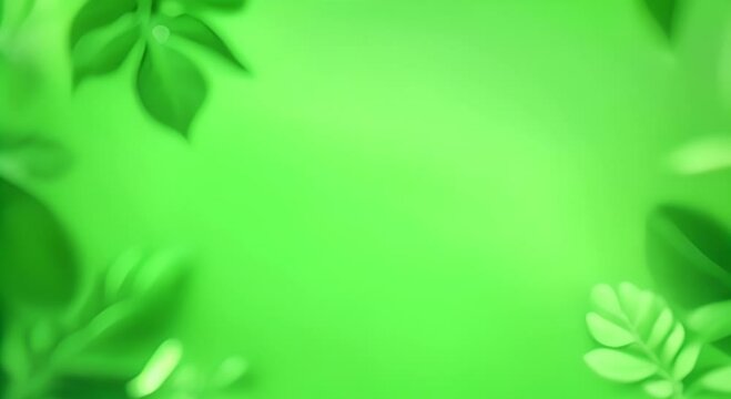 Green background with a leafy border The leaves are green and the background is a light green color 4K
