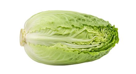 Fototapeta premium Fresh romaine lettuce head with crisp leaves, isolated on a white background, ideal for culinary and health-related uses