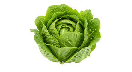 Fresh, vibrant green lettuce head, showcasing its layered leaves, isolated on a clean background, ideal for culinary use