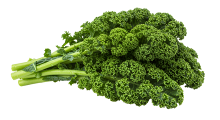 Freshly harvested bunch of vibrant green curly kale with a clean background, ready for cooking or healthy eating