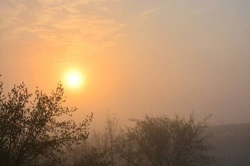 Sonne, Sonnenaufgang, Nebel, Baum, Natur, Himmel, Frühling