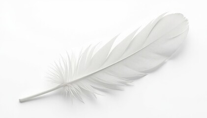 Isolated single white feather against pure white backdrop, object, shape