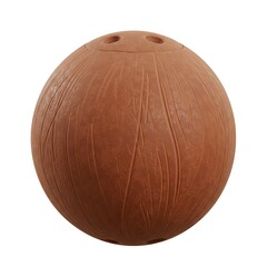 3D Brown Coconut Fruit