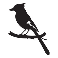 Feather Detail in Blue Jay silhouette – Blue Jay illustration – Minimalist Blue Jay vector – Bird silhouette

