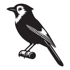 Songbird Energy in Blue Jay silhouette – Blue Jay illustration – Minimalist Blue Jay vector – Bird silhouette

