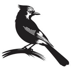 Watchful Blue Jay silhouette with lifted crest – Blue Jay illustration – Minimalist Blue Jay vector – Bird silhouette

