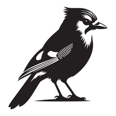 Feathered Alert in Blue Jay silhouette – Blue Jay illustration – Minimalist Blue Jay vector – Bird silhouette

