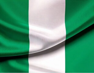  Nigeria national flag white background 