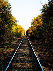 Fototapeta premium Railway tracks in the autumn forest. Travel and tourism concept
