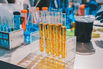 Scientist pipetting medical samples into microplate in laboratory
