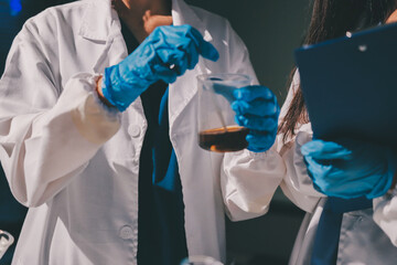 Scientist pipetting medical samples into microplate in laboratory