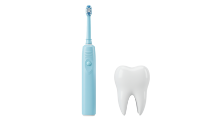 Isolated Tooth and Electric Toothbrush