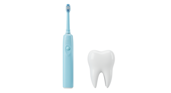 Isolated Tooth and Electric Toothbrush