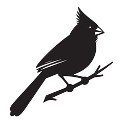 Elegant Perch Cardinal silhouette – Cardinal illustration – Minimalist Cardinal vector – Bird silhouette

