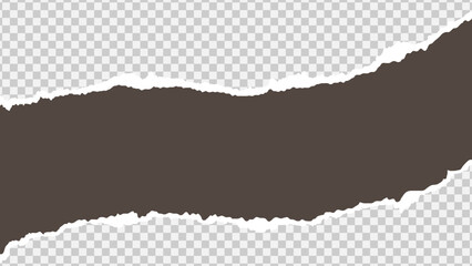 Torn Paper Background