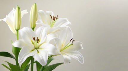 Obraz premium Elegant White Lilies: A Bouquet of Purity and Grace