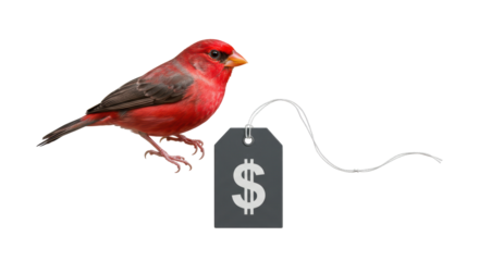 Isolated Bird Price Tag