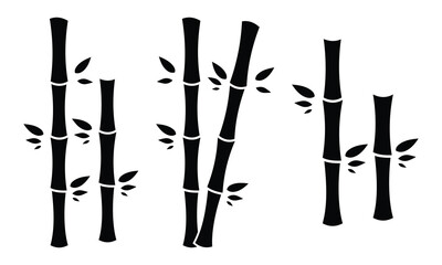 Bamboo vector icon set. Bamboo vector illustration, Bamboo plant, stems, branches and leaves icon on white background. Vector illustration.
