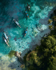Traditional outrigger boats anchored near tropical shoreline with crystal-clear water