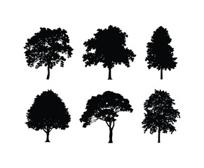 Silhouette EPS Template of a Linden Tree
