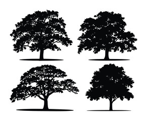 Vintage Linden Tree Silhouette Vector Design