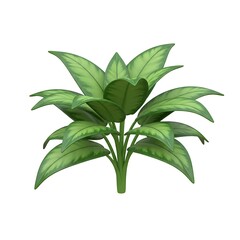 Tall layered green houseplant