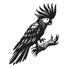Energetic Cockatoo silhouette in full flight – Cockatoo illustration – Minimalist Cockatoo vector – Bird silhouette

