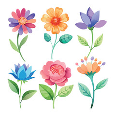 Set Adorable flower vector watercolor