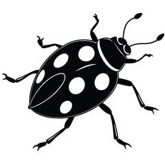 Silhouette ladybug