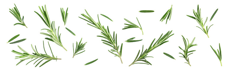 Fresh aromatic rosemary isolated on white, collage