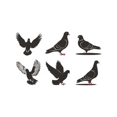 set of pigeons