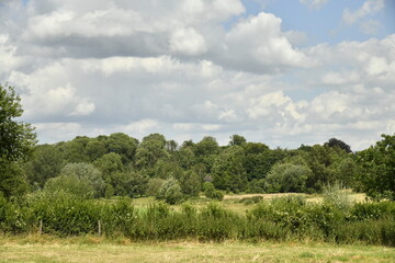 Fototapeta premium Cumulus gris sur une paysage rural de prairies et de bois à Écaussinnes-d'Enghien (Soignies)
