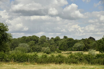 Cumulus gris sur une paysage rural de prairies et de bois à Écaussinnes-d'Enghien (Soignies)