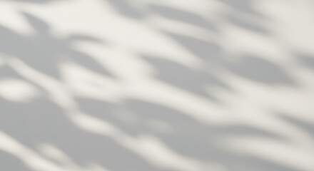 Obraz premium Leafy silhouettes dance on blank wall