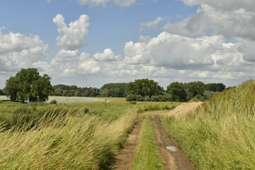 Fototapeta premium Chemin parfois peu praticable entre les prairies et parcelles cultivables à Écaussinnes-d'Enghien 